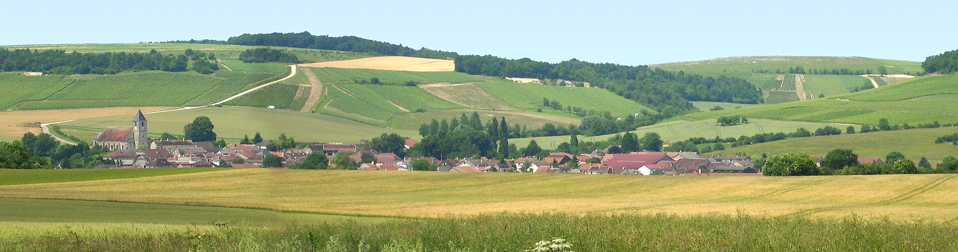Panora champignol