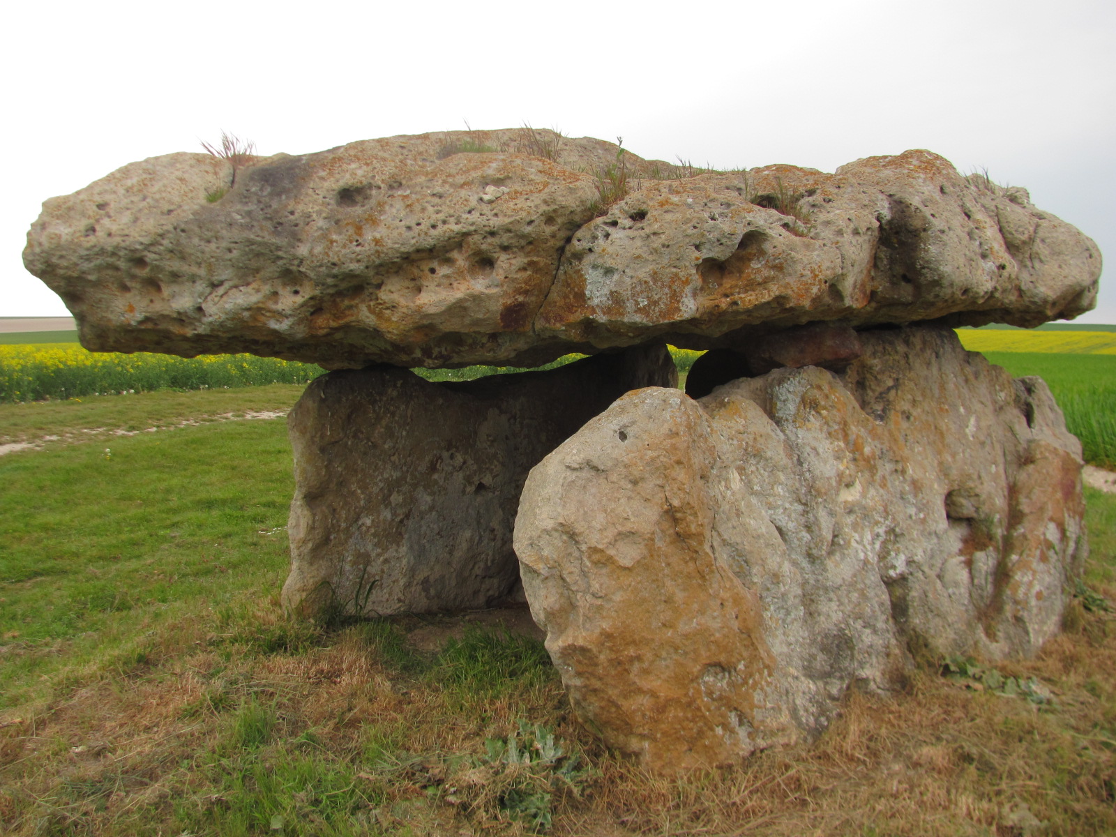 Marcilly-le-Hayer Dolmen des Blancs Fossés autre vue