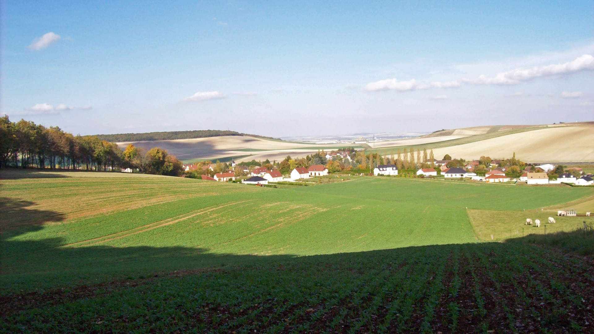 Vue Prugny